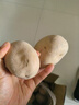 甘肃定西土豆马铃薯2025年新挖粉糯沙面高山洋芋黄心黄皮定西特产 净重9斤中果 每颗3-5两左右 实拍图