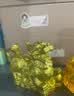 缤越黄铜貔貅风水摆件招財公母一对聚宝盆套装客厅皮丘店铺开业装饰品 实拍图