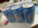 燕京啤酒 蓝听11°P拉格啤酒330ml*24听 春日热卖踏春送礼 实拍图