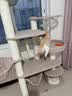 兽牌森林猫爬架大型猫树猫窝一体豪华剑麻猫架太空舱缅因大猫四季适用 森林Max 实拍图