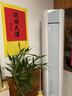 海尔空调出品大3匹变频圆柱立式柜机超省电家用空调新一级能效冷暖节能WIFI自清洁冷暖 补贴15% 3匹 一级能效 【升级款】双翼全域风 实拍图