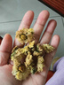 贡苑 桐乡原产杭白菊120g 搭柠檬片金银花特泡水喝的优级花草菊花茶 实拍图