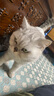 怡亲猫粮5斤全价猫干粮成幼猫去毛球英短蓝猫布偶室内猫通用猫粮2.5kg 【成猫】 7.5kg 实拍图
