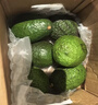 京鲜生 秘鲁牛油果4粒装单果130g+（非即食） 生鲜水果 实拍图