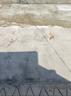 鑫嘉固水泥路面修补料高强度混凝土地面起沙裂缝道路快速修复材料砂浆剂 水泥灰色25kg 高强型快速修复 实拍图