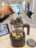 格丽思（GREENIS）煮茶壶养生壶纯钛喷淋式加热煮茶器一体式烧水壶蒸茶壶办公室蒸茶 深灰标准款礼盒装+直筒茶漏1.3L 实拍图
