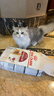 皇家成猫猫粮营养均衡F32 通用粮 1-7岁 2KG【皇家预售付定金享优惠】 实拍图