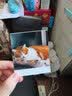 佳能（Canon）SELPHY QX20照片打印机  QX20迷你相片打印机 手机无线 掌上打印 小巧便携 新品体验套装 实拍图