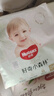 好奇（Huggies）小森林拉拉裤XXL26(15kg以上)心钻【透氧顶配更0痕】 实拍图