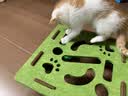 欢宠网猫玩具猫咪掏掏乐逗猫盒掏洞丰容猫抓板猫猫小猫幼猫自嗨解闷神器 实拍图