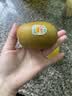 佳沛（zespri）新西兰 阳光金奇异果12粒特大果单果124-146g 猕猴桃水果礼盒 实拍图