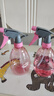 喷壶浇花浇水喷雾器气压式喷水壶家用园艺养花500ml 南瓜喷壶透粉【2个装】 实拍图