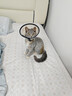 欢宠网伊丽莎白圈猫宠物狗猫咪狗狗绝育软项圈头套脖套防舔防咬脖圈幼猫 实拍图