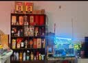 今世缘 国缘淡雅 幽雅醇厚型白酒 42度 500mL*1瓶 单瓶装热销商品 实拍图
