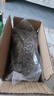 珈祁堂 翻白草中药材2025新货无硫整颗切段带根新晒干货泡水可搭绞股蓝 翻白草500克【新货】 实拍图