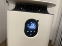 东芝（TOSHIBA）空气净化器宠物净化器大白梨PET去毛除毛大风量除花粉过敏源除尘净化器除螨源消毒杀菌家用除烟味 实拍图