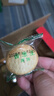 麦酥园 葱香葱饼干薄脆小饼干蛋糕点心零食休闲零食整箱散装独立包装2斤 实拍图
