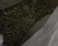 喜帅烘干紫花苜蓿草 幼兔兔粮牧草干草龙猫荷兰猪磨牙饲料净重750g 实拍图