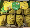 佳沛（zespri）新西兰 阳光金奇异果12粒特大果单果124-146g 猕猴桃水果礼盒 实拍图