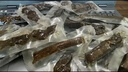 牧民人家疆域皇后手撕风干牛肉干原味500g 新疆口感稍软健康独立包装零食 实拍图