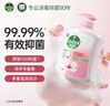 滴露（Dettol）洗手液抑菌消毒 滋润倍护500g*3+500g*3补充装 儿童家庭装 实拍图
