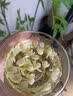 优卓胖东来同款茉莉花干花2026特一级新茶横县特级浓香型花茶理气安神 【特优级茉莉花】无硫熏染 100g*1罐 舒缓情绪辅助提神醒脑 实拍图