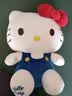 维尼小象正版HelloKitty凯蒂猫公仔毛绒kt猫玩偶七夕情人节礼物生日礼物 实拍图