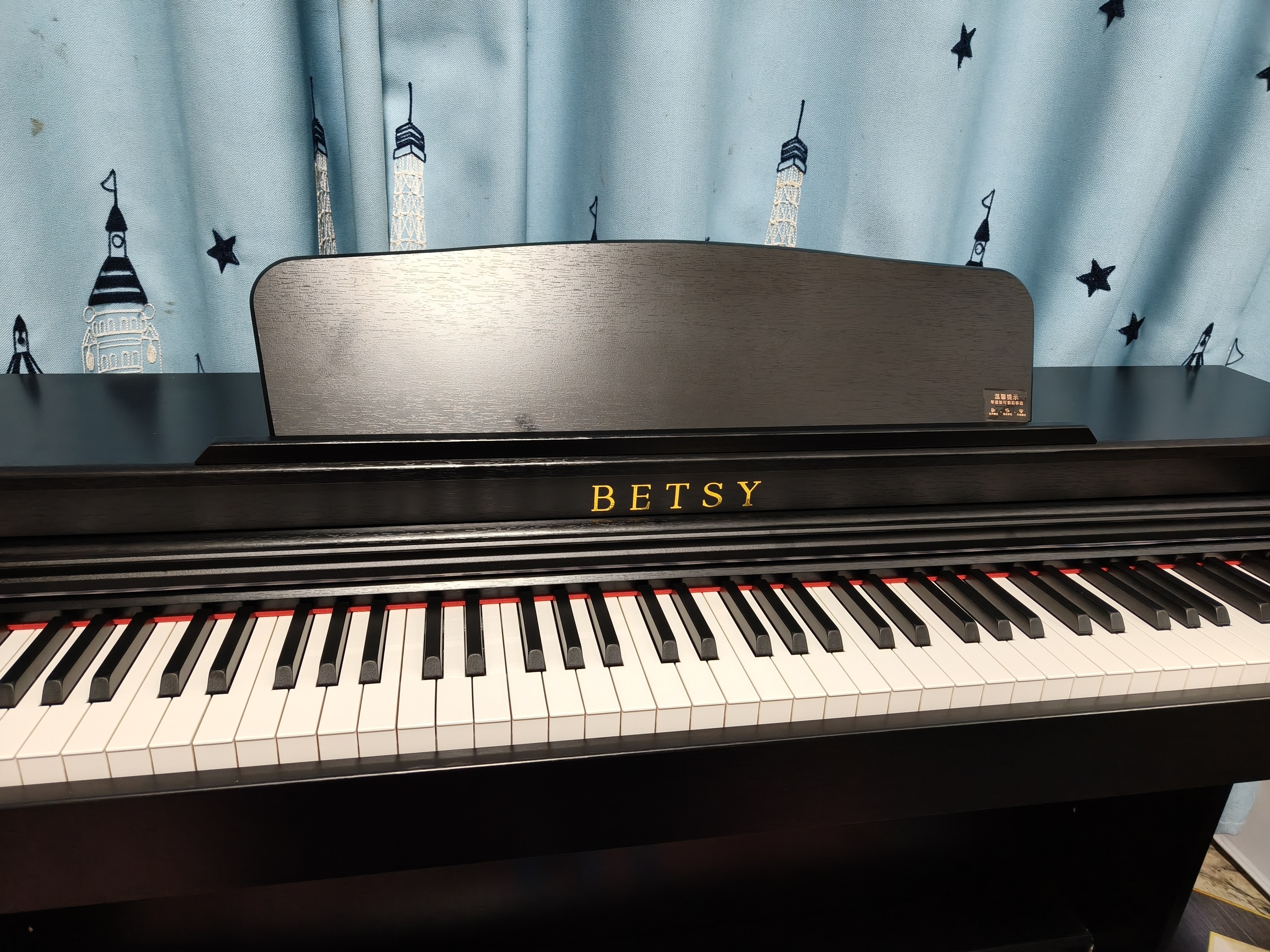 贝琪（Betsy）B321立式电钢琴重锤88键实木琴键成人专业初学者电子钢琴家用 专业级-B321木纹黑 实拍图