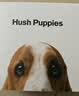暇步士（Hush Puppies）细皮带女牛皮女士皮带ns风学生装饰百搭心机腰带生日礼物 实拍图