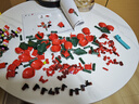 乐高（LEGO）积木10328 玫瑰花束永生花男女孩玩具六一儿童节礼物家居装饰摆件 实拍图