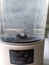 美的（Midea）破壁机家用自清洗全自动免煮豆浆机 1.5L低音降噪多功能五谷杂粮榨汁机辅食料理破冰碎冰PB4G3-555 实拍图