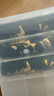 传应南孚 27A12V电池10粒 物联高伏碱性电池 适用门禁门铃遥控器车辆防盗器电动卷帘门等27a 实拍图
