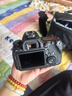 佳能（Canon）EOS 6D Mark II 6D2 单反相机 全画幅专业照相机 EF 24-105mm F4 IS II USM套机 旅行畅玩套装 晒单实拍图
