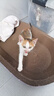 【京东物流】猫抓板磨爪猫窝一体耐磨不掉屑超大号猫玩具猫咪用品 椭圆巨无霸+猫薄荷 实拍图