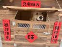 离草万花尺 尺子套尺格尺六一儿童节节手抄报专用画图手抄报尺子多功能尺子套装手抄报神器模板蓝 实拍图