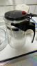 飘逸壶泡茶壶耐热高温玻璃沏茶过滤内胆冲茶器家用茶具套装 飘逸杯500mL1个 实拍图
