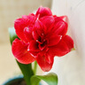 维达（Vinda）有芯卷纸 蓝色经典4层200克*10卷 厚韧大分量 卫生纸厕纸 卷筒纸 实拍图