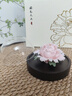Para Ella永生花陶瓷牡丹生日礼物伴手礼母亲节妈妈结婚纪念护士退休情人节 实拍图