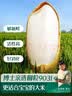 英氏婴幼儿高铁米粉糊维C加铁原味258g宝宝辅食低敏6-12个月老爸抽检 实拍图