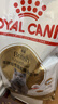 皇家猫粮 英短成猫粮 BS34 通用粮 12月以上 10KG 实拍图