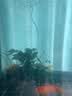 森森鱼缸增氧泵水族箱氧气泵LQE-50家用小型充氧泵3W单孔+全套配件 实拍图