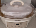 天际（TONZE）电炖锅电炖盅隔水蒸炖煲汤锅炖汤锅 婴儿辅食煮粥锅 养生燕窝炖盅 白瓷胆DGGD23A181BBW 1.8L单胆 实拍图
