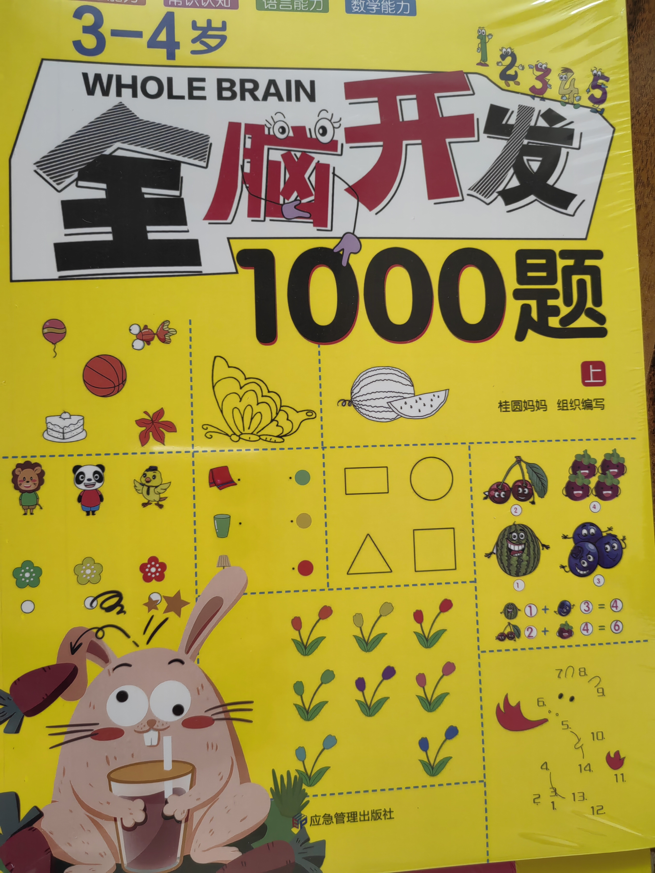 专注力训练书3-4岁幼儿智力游戏开发童书提升观察数学逻辑判断能力学前教育参考图书上书香节阅读节   实拍图