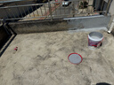 雨虹防水 楼顶屋顶防水补漏材料耐高温防晒 可外露灰18kg+2kg 实拍图