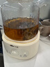 小熊（Bear）全玻璃养生壶0金属0胶0拼接恒温水壶电热水壶煮茶壶煮茶器烧水壶 新年礼物 自用送礼佳品 YSH-P10Q7【基础款全玻璃恒温壶】 1L 无滤网 实拍图