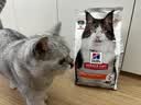 希尔思Hill‘s进口猫粮肠胃呵护粮 希尔斯成猫通用猫主粮 理想肠胃6磅 完美肠胃6磅 实拍图
