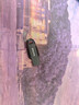 闪迪（SanDisk）128GB USB3.2 U盘 CZ550黑色 读速100MB/s 安全加密 数据恢复 学习办公电脑车载 高速大容量优盘 实拍图