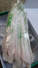 怡辉（YIHUI）吸痰器家用老人不伤喉咙成人儿童医用手动吸痰器+12根F16号吸痰管 实拍图