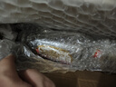 金种子 颍州佳酿 浓香型白酒 50度 500mL 单瓶装 热门商品 实拍图