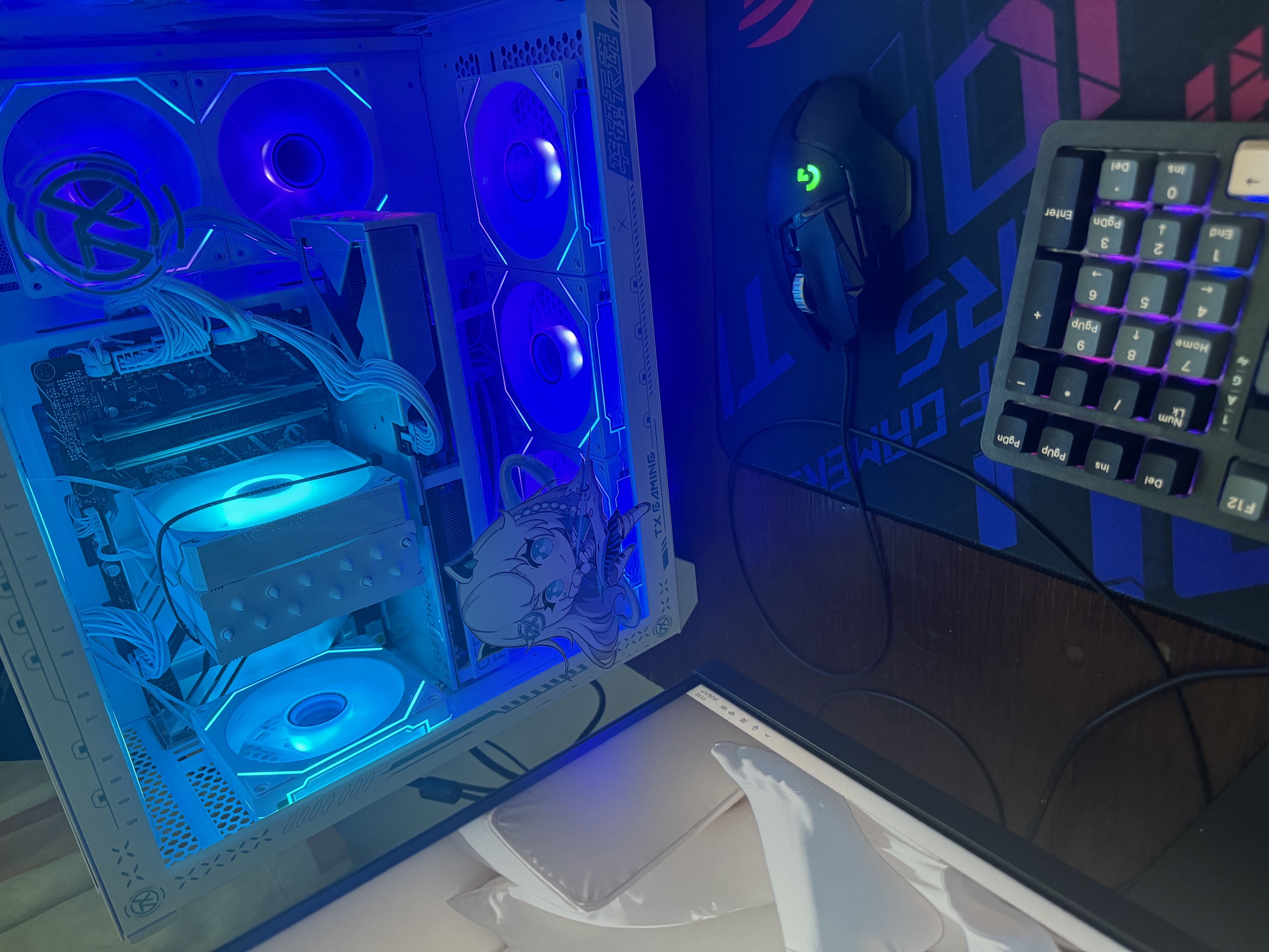 华硕天选RTX5070/5060Ti/5060显卡14600KF/270K Plus组装电脑台式主机3D游戏电竞DIY整机天选姬海景房 U5 230F+华硕RTX5060Ti 配置十一 实拍图